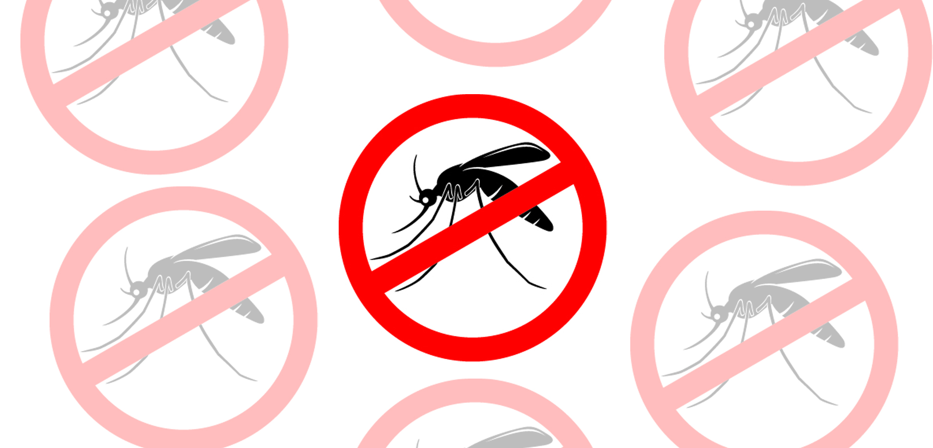 Enquete TJCE: 84% dos participantes eliminam os focos do Aedes aegypti em qualquer estação do ano