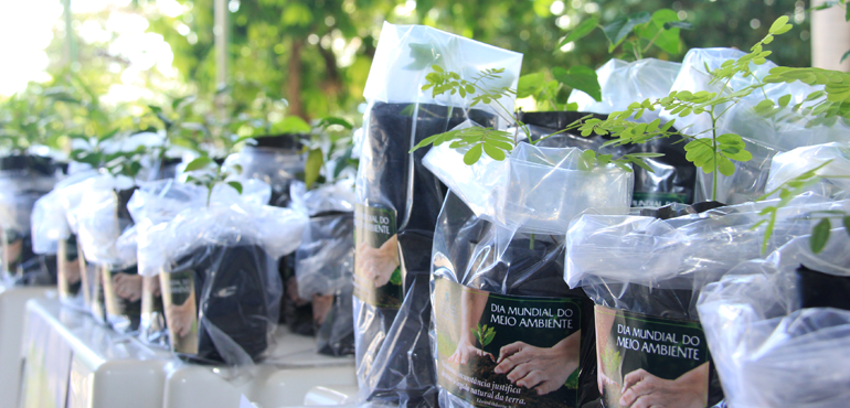 TJCE realiza entrega de mudas de plantas para comemorar o Dia do Meio Ambiente