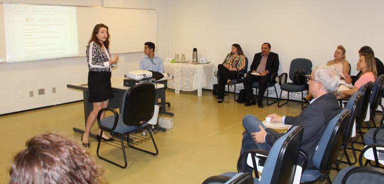 Comitê Executivo de Saúde apresenta realizações para Corregedores