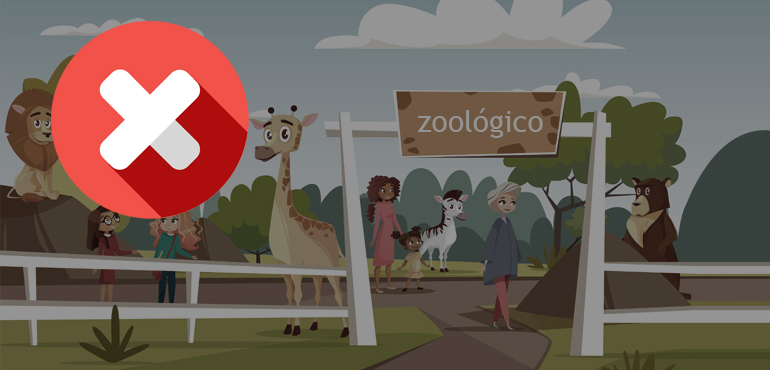 Enquete TJCE: 49% concordam com proibição de zoológicos e parques que expõem animais silvestres