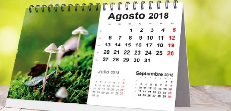 Cursos e eventos programados para agosto na Esmec e nos Polos de Aprendizagem