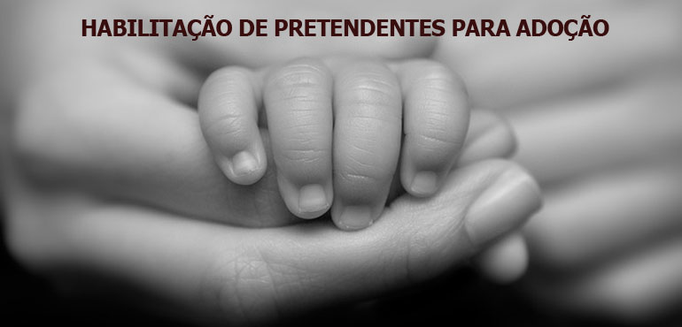 Cejai/CE defere sete habilitações de  pretendentes para adoções internacionais