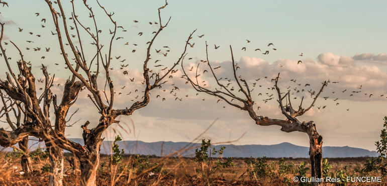 “Justiça Climática”: Fórum recebe nesta sexta palestra do físico e climatologista Alexandre Araújo Costa