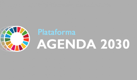 Justiça estadual vai implementar os Objetivos de Desenvolvimento Sustentável (ODS) da Agenda 2030