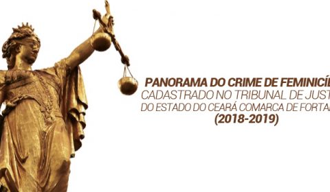 Panorama do feminicídio no Estado é apresentado durante reunião da Coordenadoria da Mulher do TJCE