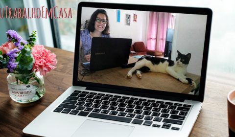 Animais de estimação ajudam na adaptação ao TeleTrabalho