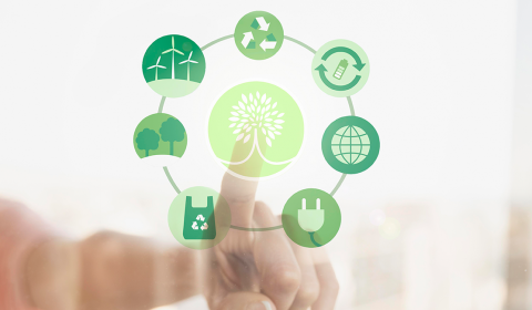 Na linha da Agenda 2030, TJCE tem nova Comissão Gestora para o Plano de Logística Sustentável