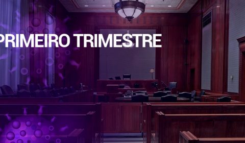 Vice-Presidência do TJCE divulga aumento de produtividade das Câmaras de Direito Público e Privado