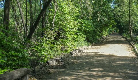 Justiça declara nulo decreto estadual que reduz zona de amortecimento no Parque do Cocó