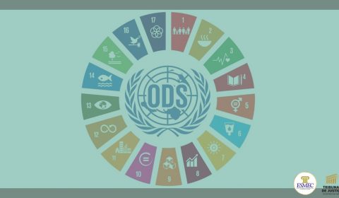 Esmec recebe inscrições para curso em EaD sobre Políticas Públicas para Infância e Juventude na visão dos ODS da Agenda 2030