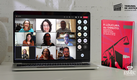 Judiciário conclui webinário com elaboração de propostas para tratamento de pessoas com doença mental em conflito com a lei