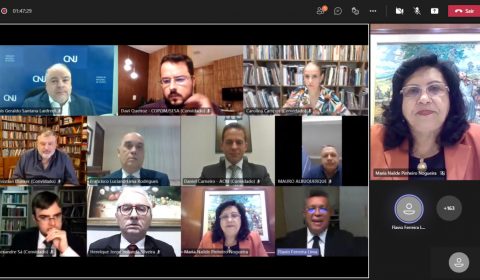 Presidente do TJCE participa da abertura de webinário sobre a proteção dos direitos da pessoa com transtorno mental