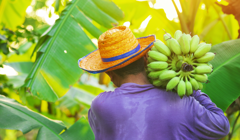 Produtores cearenses podem obter desconto de 50% em cartórios estaduais para registrar contratos de créditos rurais