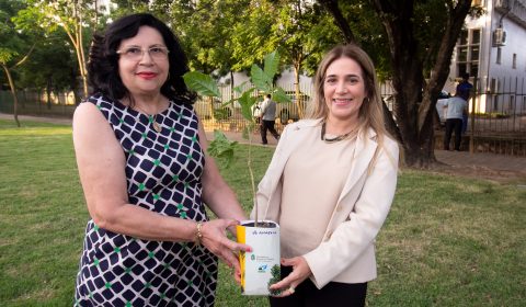 Em comemoração ao Mês do Meio Ambiente, TJCE promove plantio de ipês e distribui mudas para colaboradores