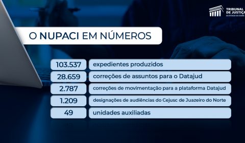 Nupaci do TJCE completa um ano de atuação com 103 mil expedientes produzidos e 49 unidades auxiliadas
