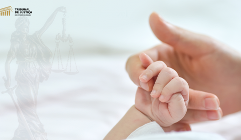 Programa Entrega Responsável do TJCE garante amparo legal e segurança para gestantes interessadas em entregar filho para adoção
