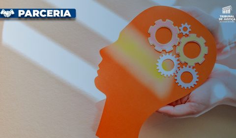 TJCE firma parceria para viabilizar atendimento a pessoas com transtorno mental que estão privadas de liberdade