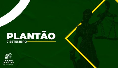 Plantão eletrônico no TJCE garante atendimento para casos urgentes no feriado desta quarta-feira