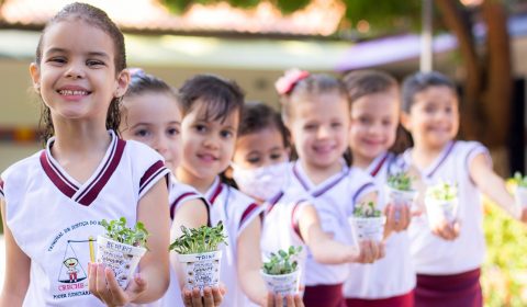 Crianças da Creche-Escola do Judiciário cearense plantam mudas de girassol em homenagem ao Dia da Árvore