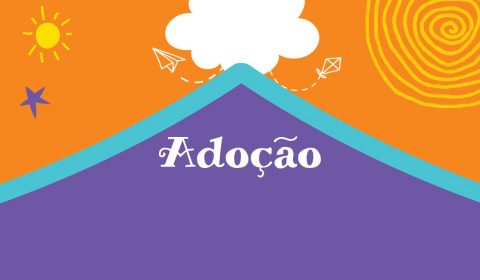 Seminário aborda trabalho realizado no Judiciário sobre entrega legal para adoção