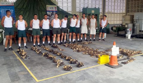 Agenda 2030: Justiça estadual envia 479 armas de fogo ao Exército Brasileiro para destruição