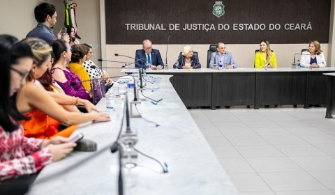 Tribunal de Justiça do Ceará e entidades parceiras viabilizam abertura de 309 vagas para capacitar vítimas de violência doméstica
