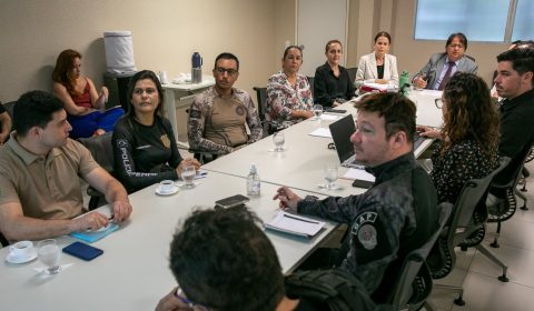 GMF debate com agentes de segurança ações de guarda de documentação e atendimento de saúde nas audiências de custódia