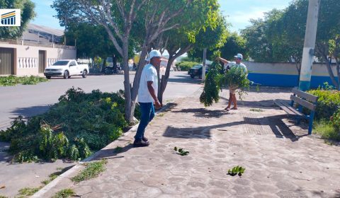 Ressocialização Verde: parceria da Comarca de Barro capacita apenados e cuida do meio ambiente