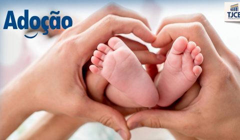 Justiça estadual reconhece nova paternidade à criança abandonada recém-nascida em terreno baldio no município de Cascavel