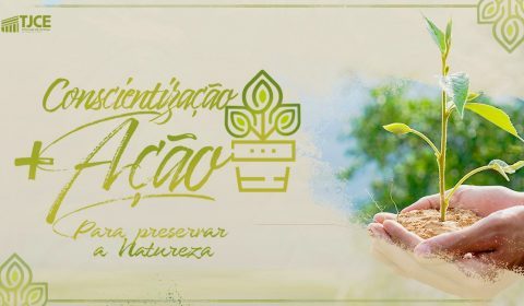 Justiça estadual vai distribuir 100 mudas de plantas nesta segunda-feira, 05, Dia do Meio Ambiente