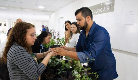 Doações de mudas de plantas marcam Dia Mundial do Meio Ambiente no Fórum Clóvis Beviláqua