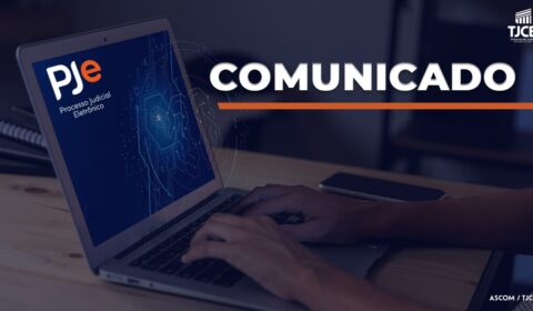 O peticionamento no Sistema PJe está normalizado