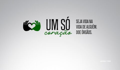 Sistema de Autorização Eletrônica de Doação de Órgãos é regulamentado