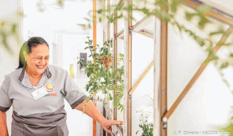 Iniciativa de colaboradora do Judiciário humaniza ambiente de trabalho e torna mais verde o Fórum Clóvis Beviláqua 