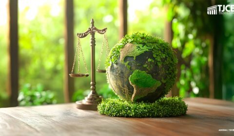 TJCE institui Grupo do Meio Ambiente para garantir o fortalecimento de política ambiental