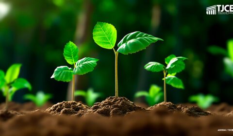 Plano de Descarbonização: TJCE adotará série de medidas em prol do desenvolvimento sustentável