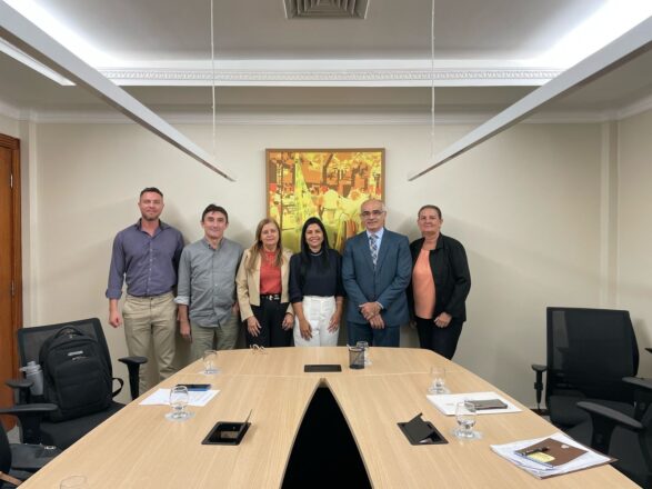 Reunião de alinhamento para repasse de dados ao SIRC