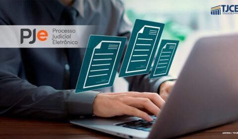 Processos novos da área cível de 2º Grau devem ser protocolados exclusivamente no Sistema PJe