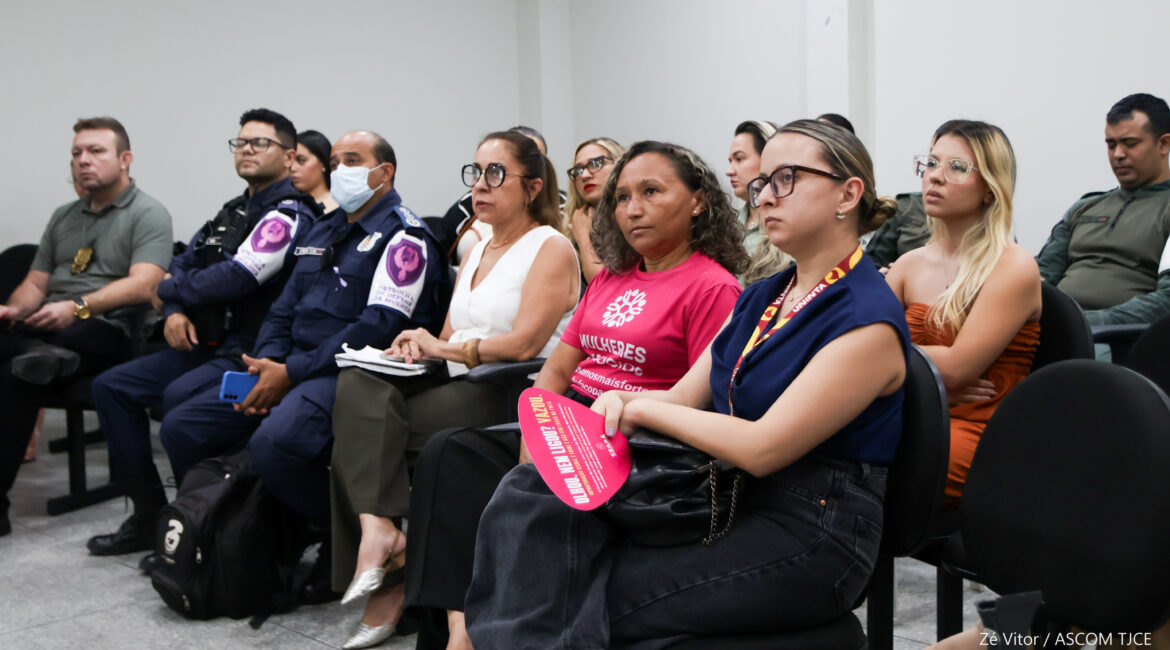 Foto com várias(os) profissionais sentadas durante a capacitaçao Foto com várias(os) profissionais sentadas durante a capacitaçao