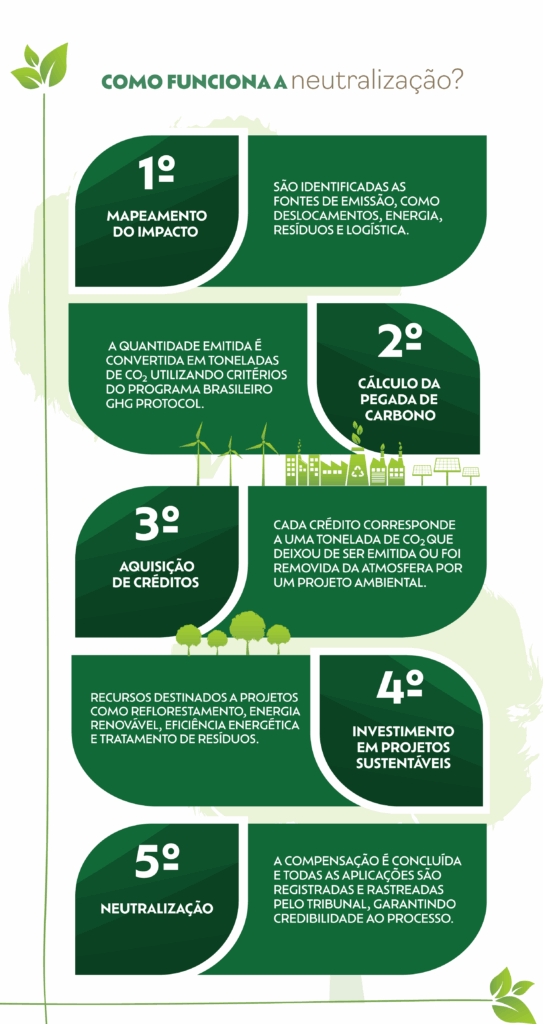 Infográfico com várias informações, com texto em branco e arte em tons de verde