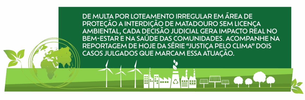 Arte com o abre da reportagem, na cor verde e fonte em branco