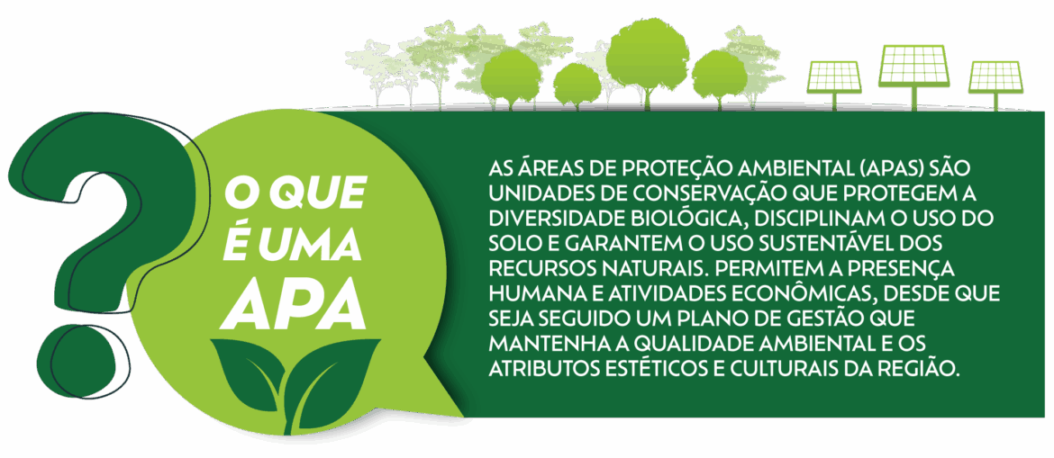 Arte que traz informações destacadas da reportagem