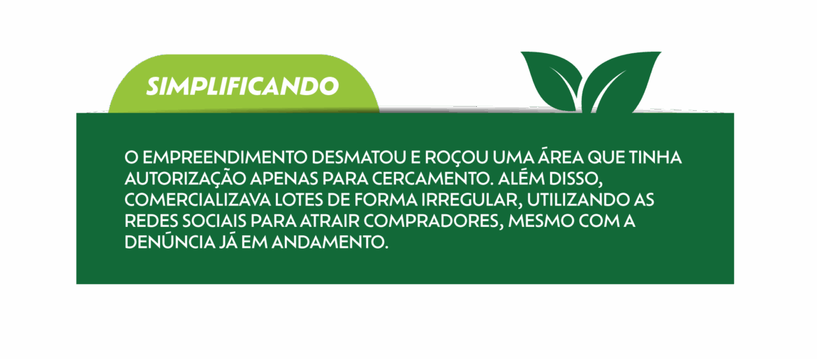 Arte na cor verde que ressalta informações da matéria