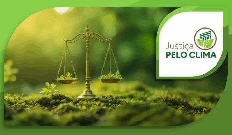 Justiça cearense prioriza julgamento de ações ambientais e alcança 100% de meta do CNJ