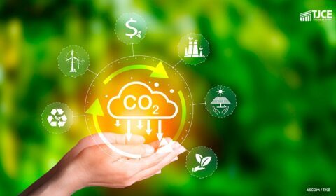 TJCE avança na pauta sustentável ao promover ações que priorizam o meio ambiente