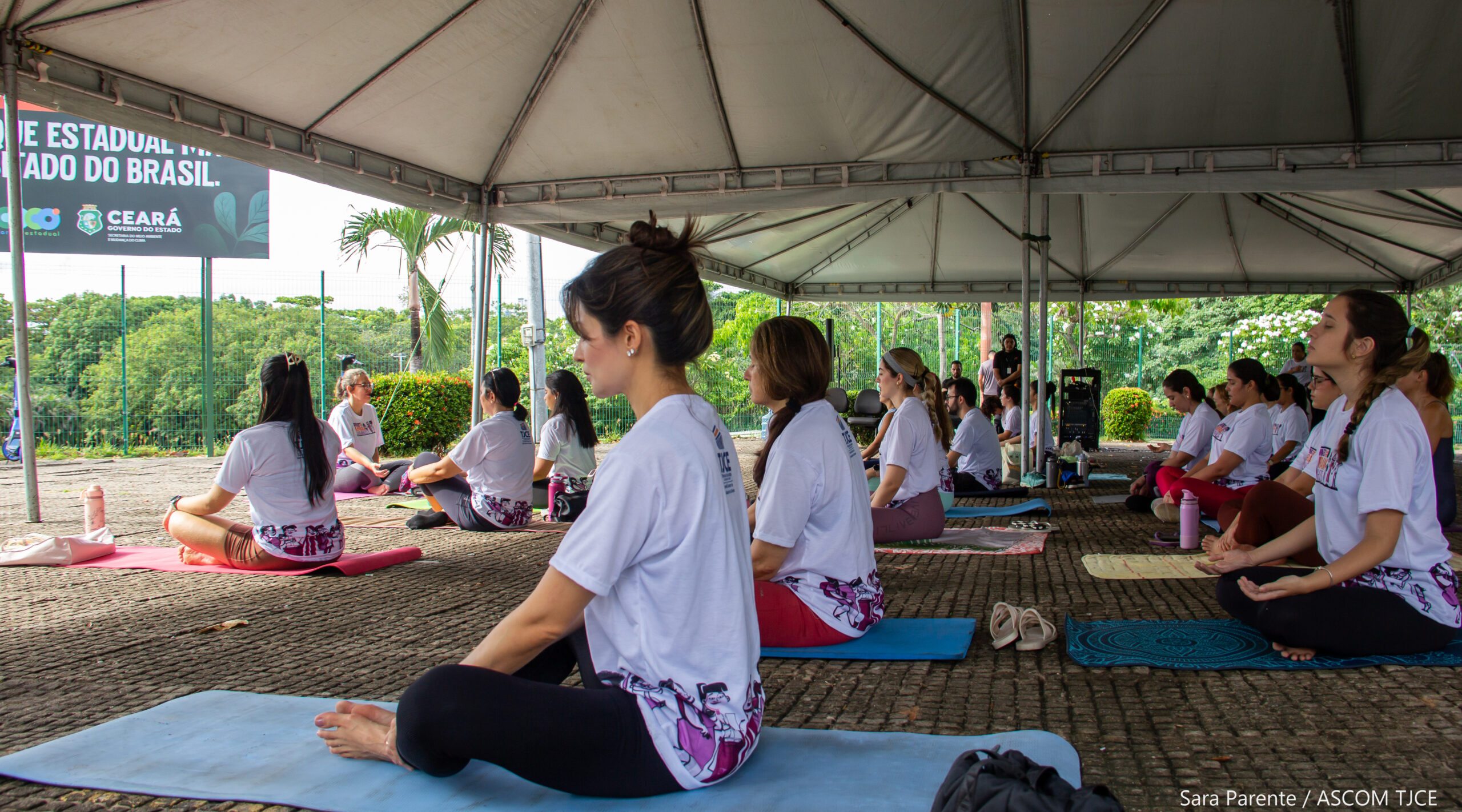 Yoga, memória e fortalecimento feminino marcam programação do Mês da Mulher no TJCE