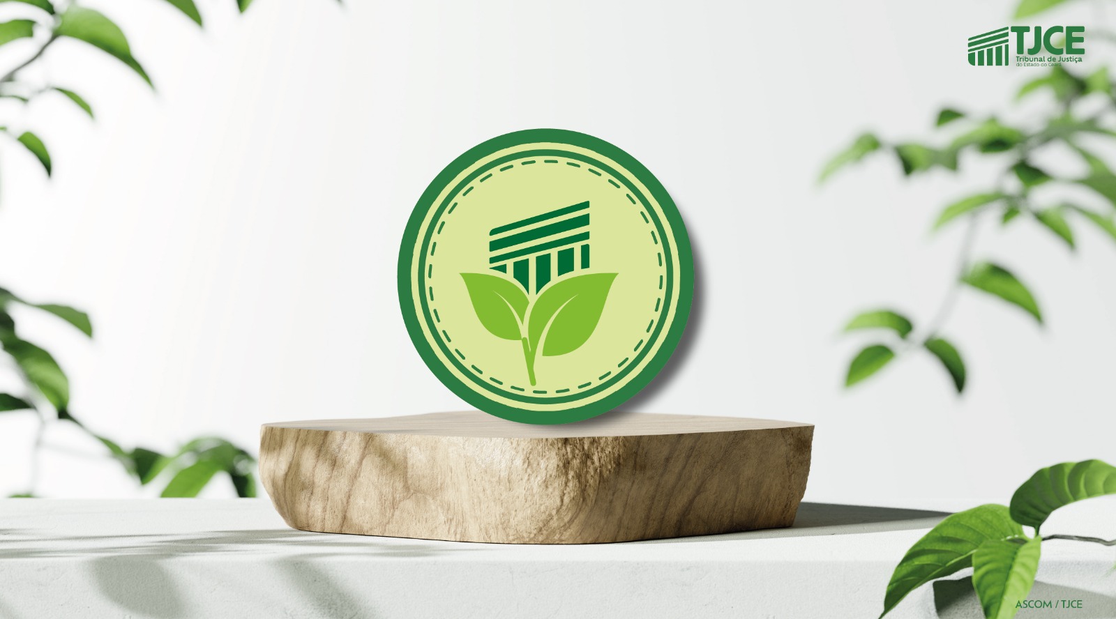 WhatsApp Image 2026-03-16 at 16.12.52-1775678145 Imagem destacada