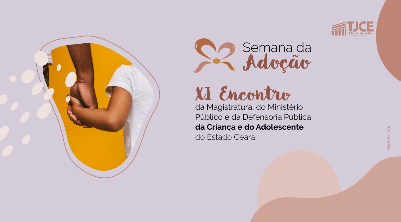 XI Encontro da Magistratura, do Ministério Público e da Defensoria Pública ocorrerá durante a Semana Nacional da Adoção