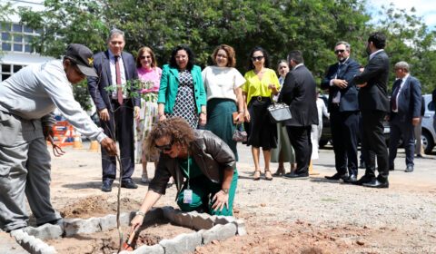 “A natureza somos nós”: Semana do Meio Ambiente começa no FCB com foco na sustentabilidade e mudança de hábitos