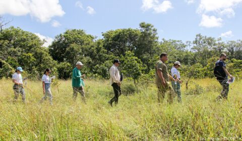 “Vema em Campo”: Vara do Meio Ambiente do TJCE realiza visita técnica para compreender desafios ambientais no Estado